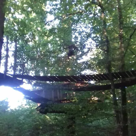 Les Du Du Der * جيفاومونتجيفومون شامبوبير