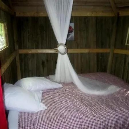 Les Du Du Der * جيفاومونتجيفومون شامبوبير