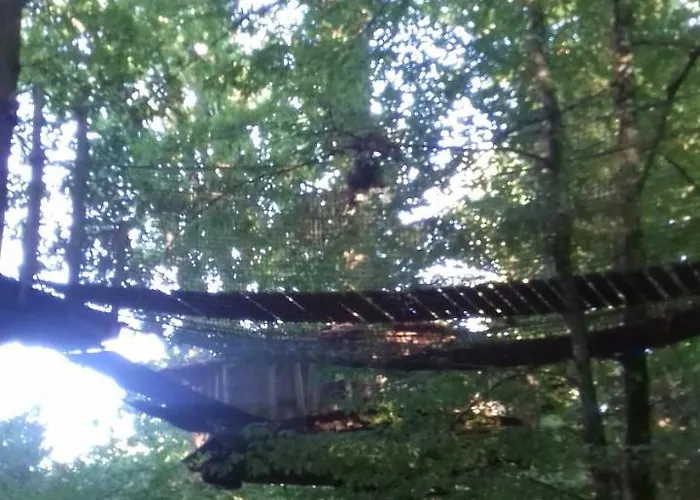 Les Du Du Der * Giffaumont-Champaubert